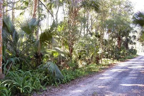 0 Palm Drive New Smyrna Beach FL 32168