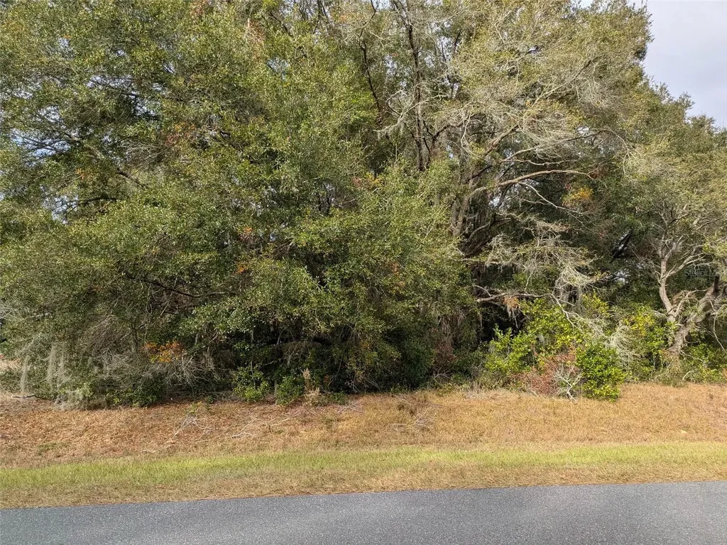 000 SW Beach Boulevard Dunnellon FL 34431