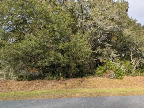000 SW Beach Boulevard Dunnellon FL 34431