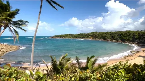40 Capitan Vega Alta PR 00692