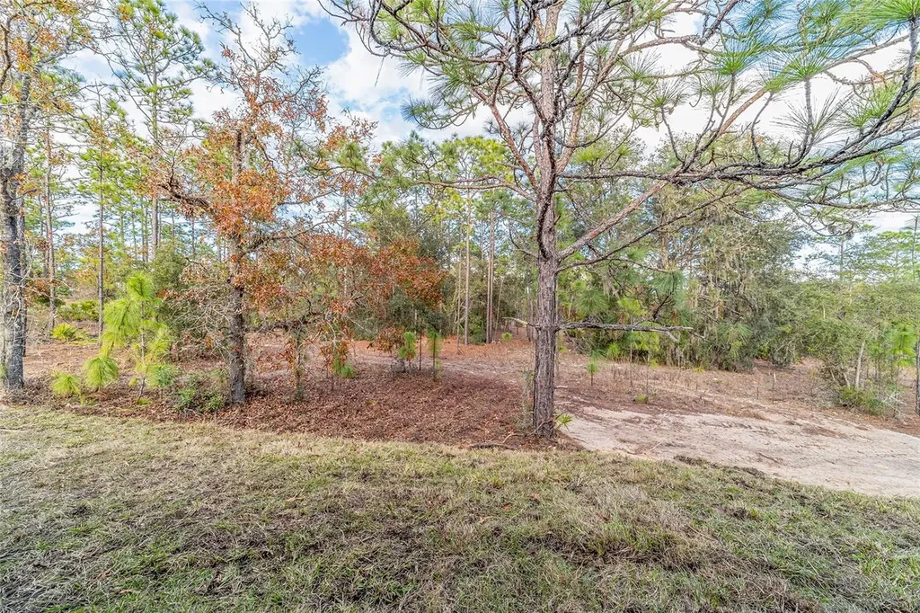 11457 N Condor Drive Dunnellon FL 34433