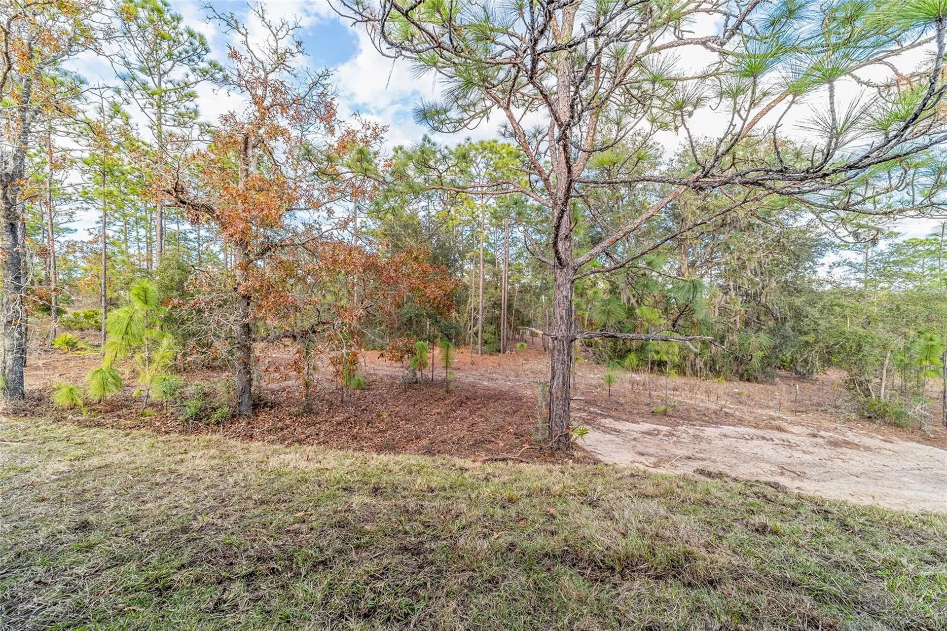 11457 N Condor Drive Dunnellon FL 34433