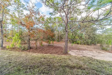 11457 N Condor Drive Dunnellon FL 34433
