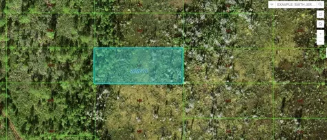 Old Grade Road Polk City FL 33868