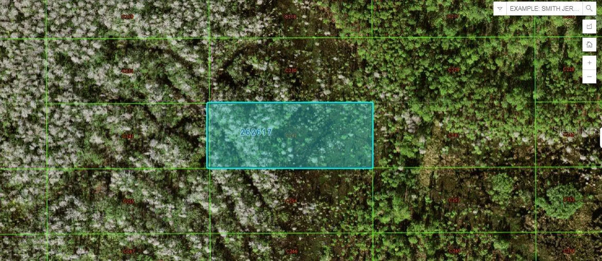 Old Grade Road Polk City FL 33868