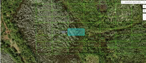 Old Grade Road Polk City FL 33868