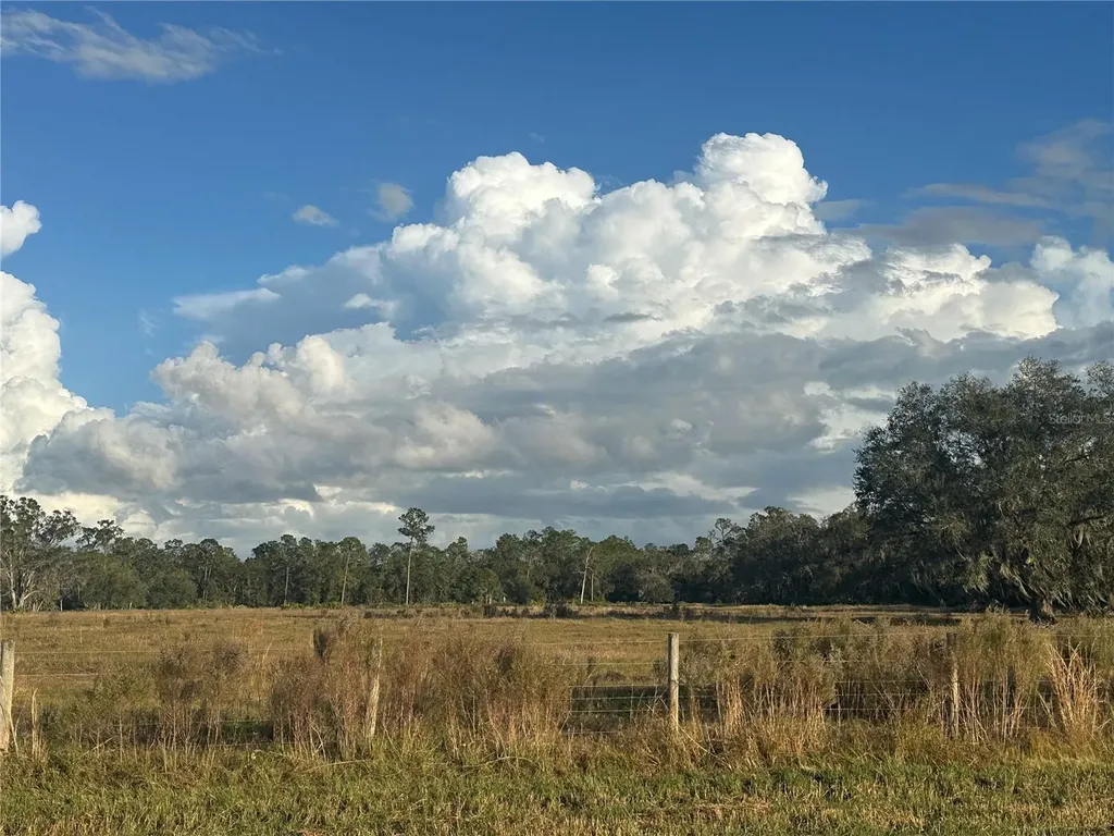 Wauchula FL 33873