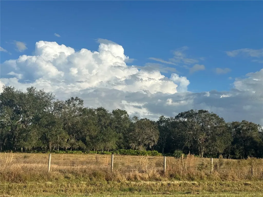Wauchula FL 33873