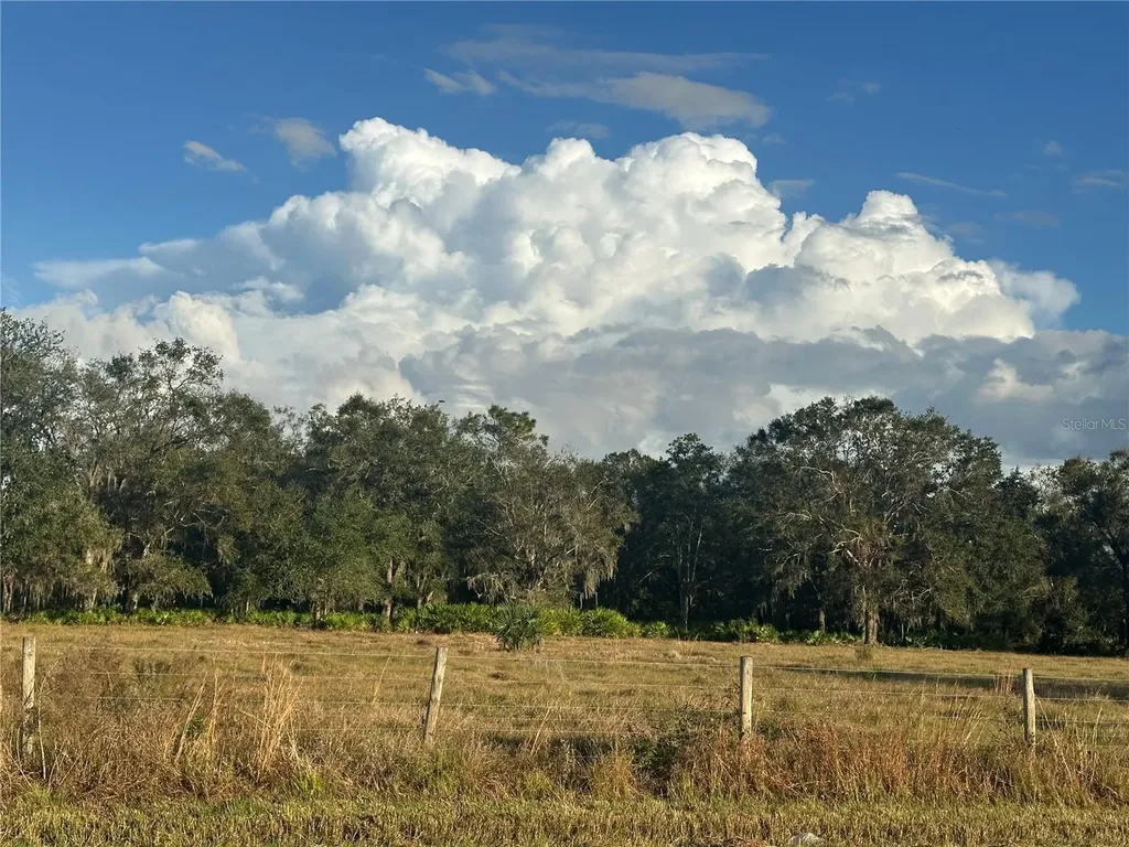 Wauchula FL 33873