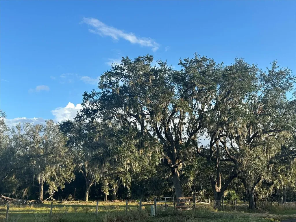 Wauchula FL 33873