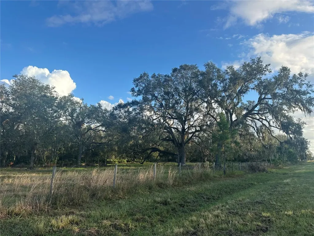 Wauchula FL 33873