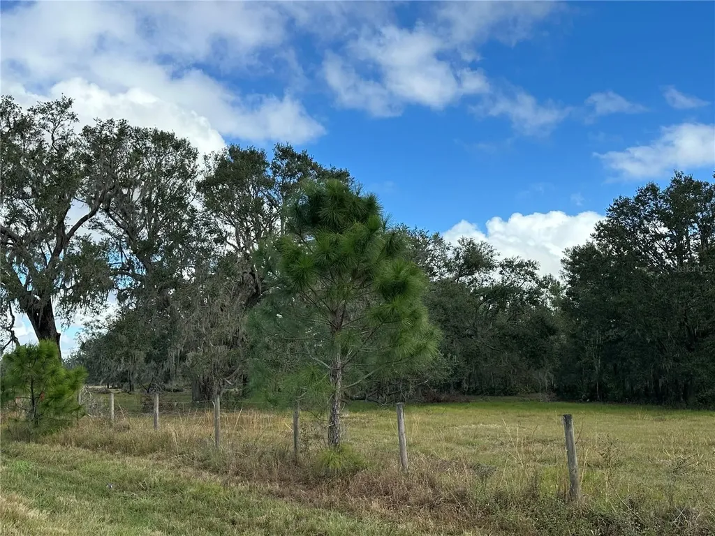 Wauchula FL 33873