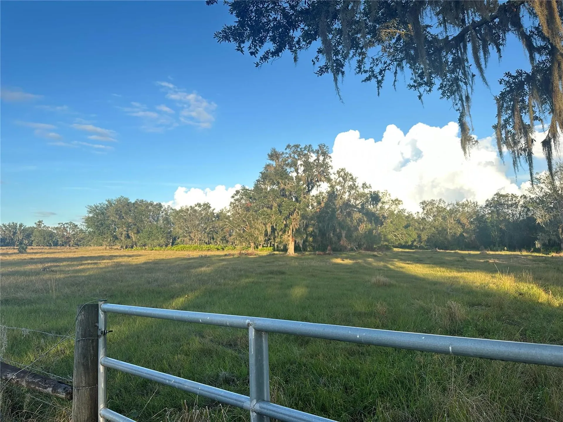 Wauchula FL 33873