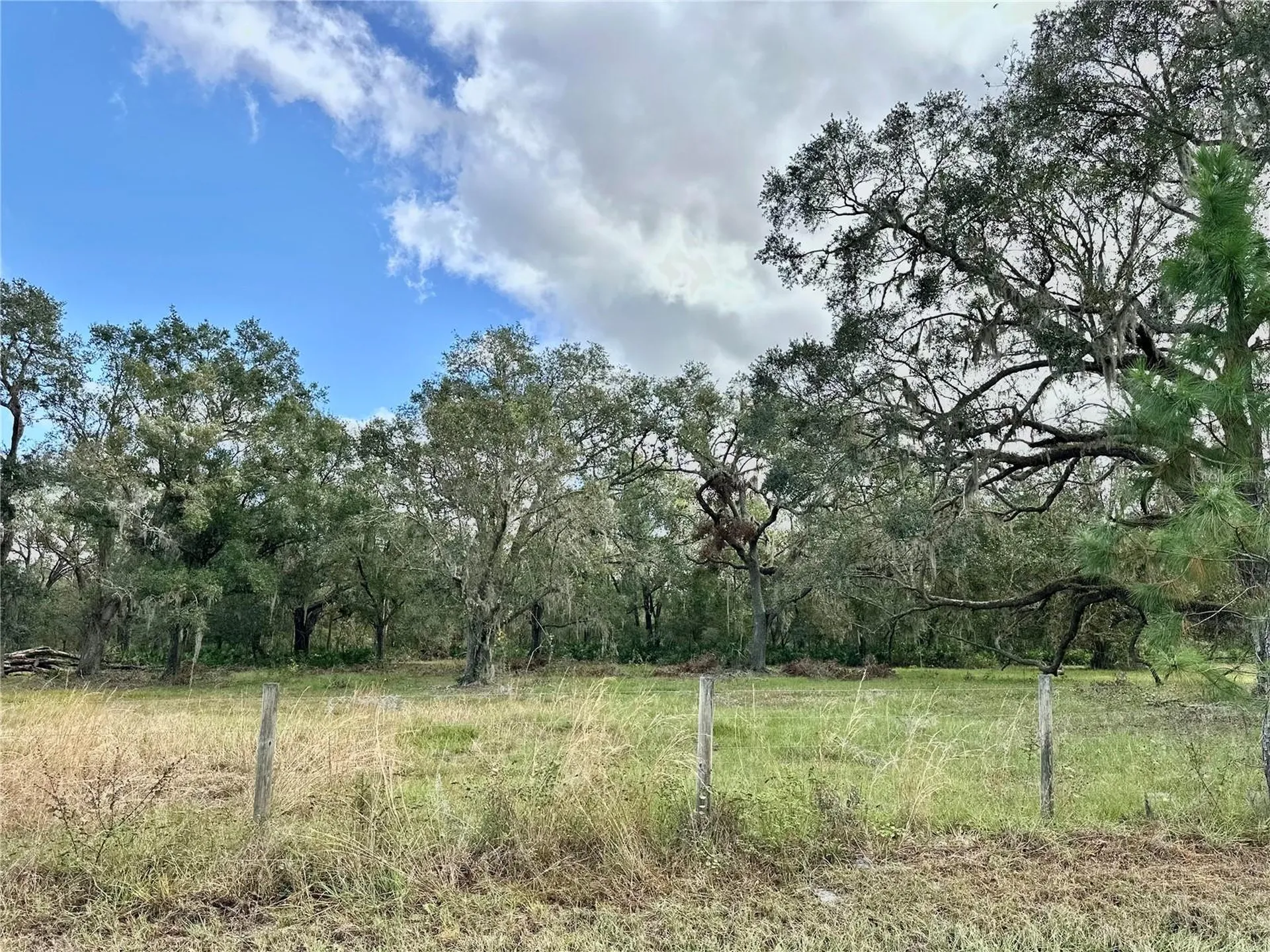 Wauchula FL 33873
