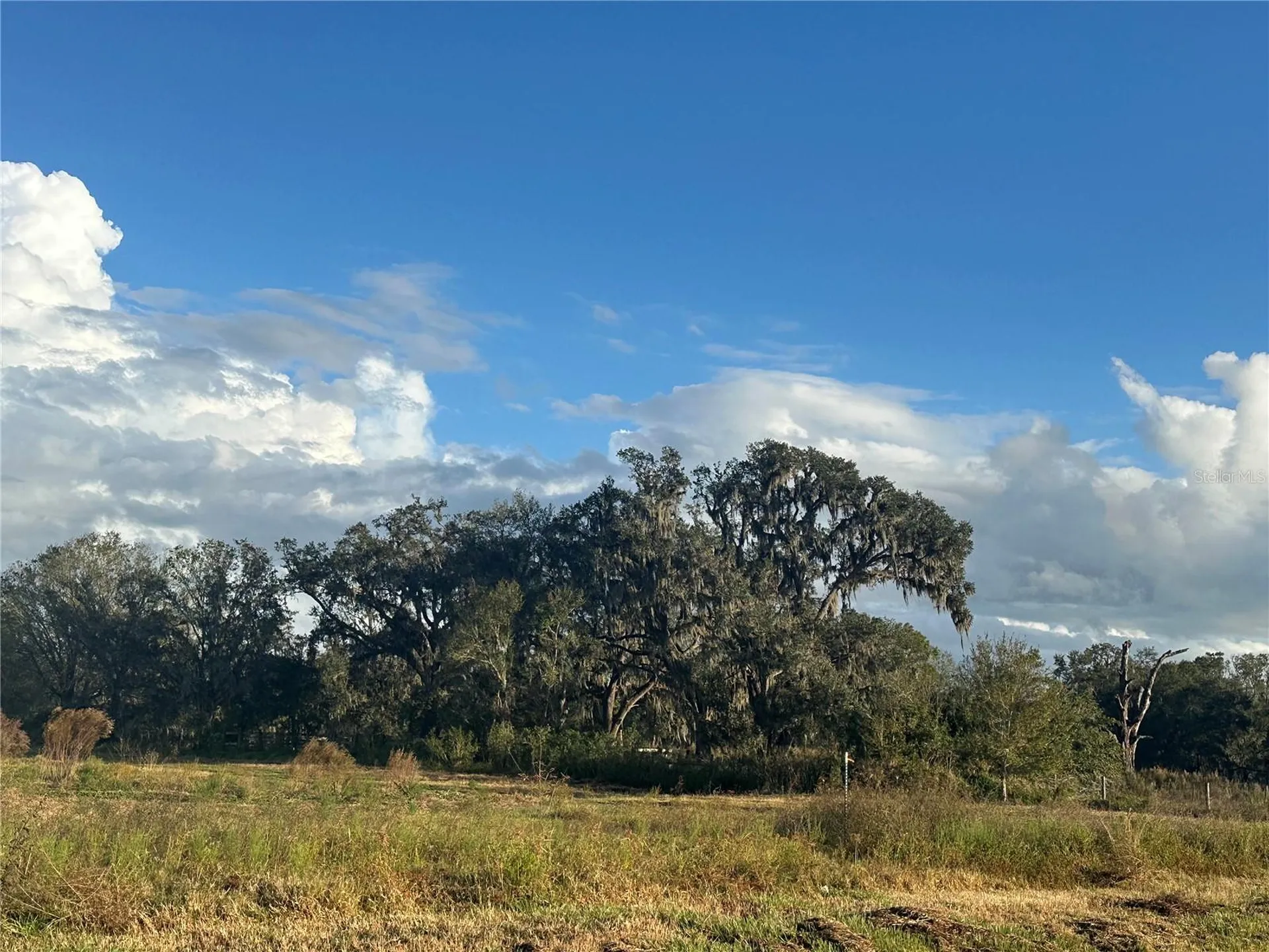 Wauchula FL 33873