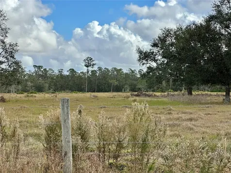 Wauchula FL 33873