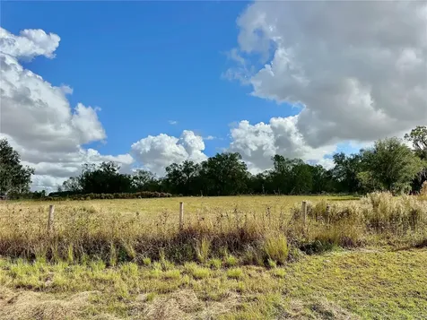 Wauchula FL 33873