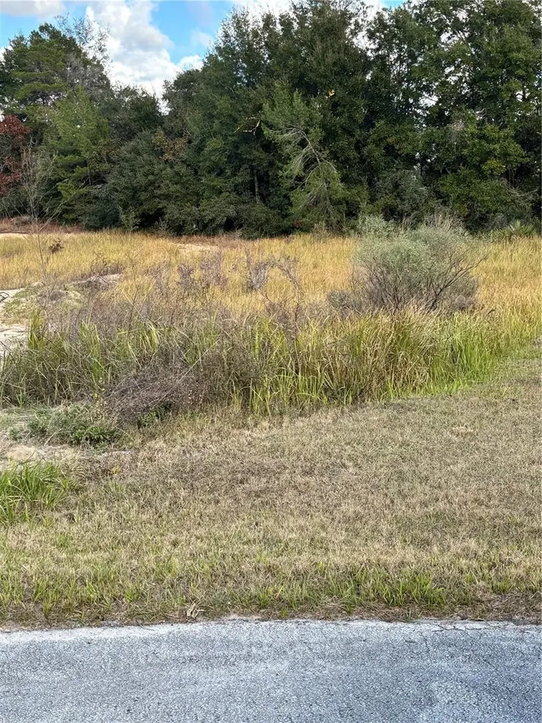 0 SW 37th Terrace Ocala FL 34476