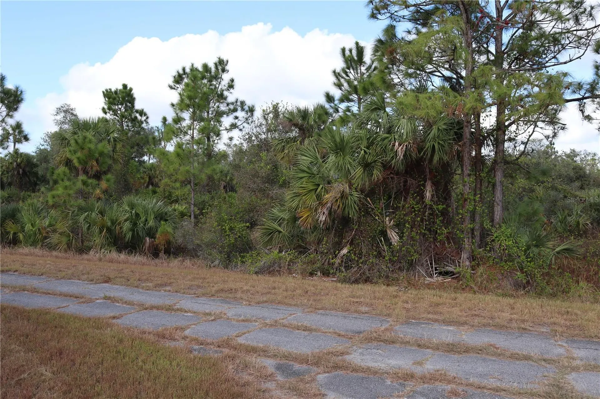 Patriot Circle North Port FL 34288
