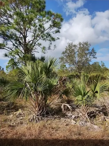 Patriot Circle North Port FL 34288