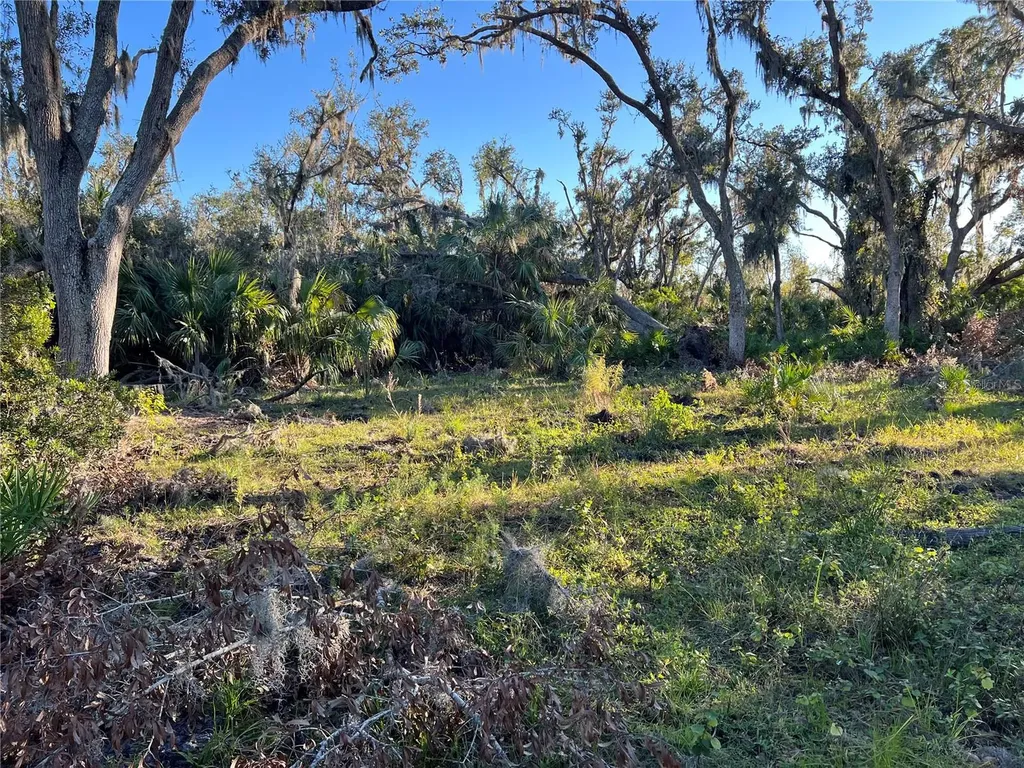 Leon Drive Ellenton FL 34222