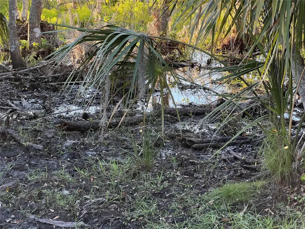 Leon Drive Ellenton FL 34222