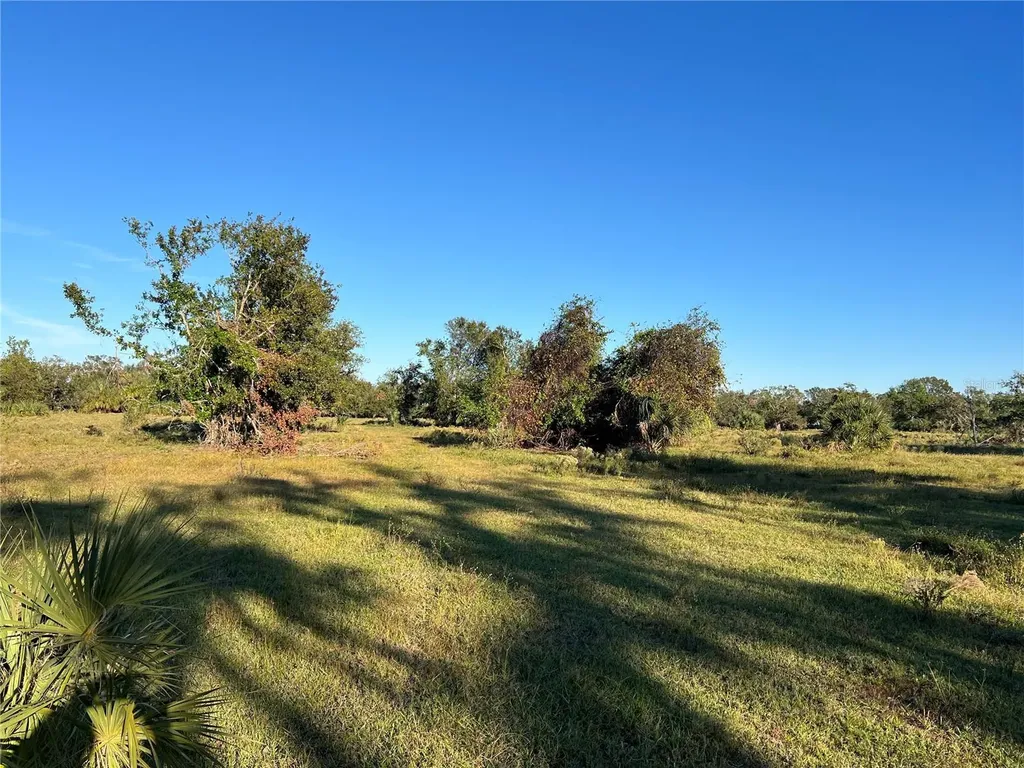 Leon Drive Ellenton FL 34222