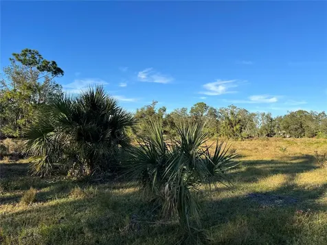 Leon Drive Ellenton FL 34222