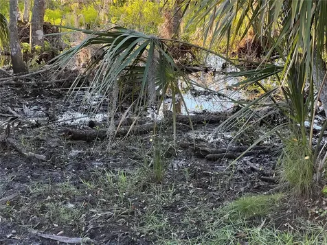 Leon Drive Ellenton FL 34222