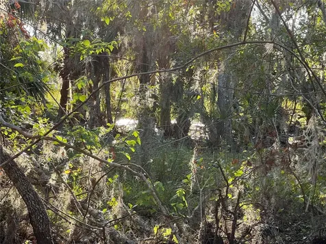 Leon Drive Ellenton FL 34222