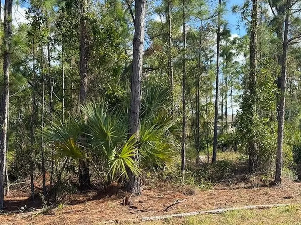 142 Algonquin Street Port Charlotte FL 33954