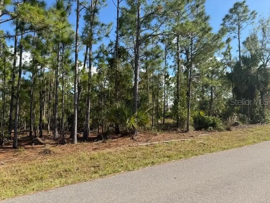 142 Algonquin Street Port Charlotte FL 33954