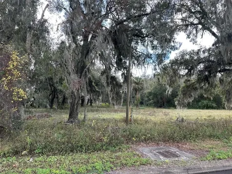 Doyle Road Osteen FL 32764