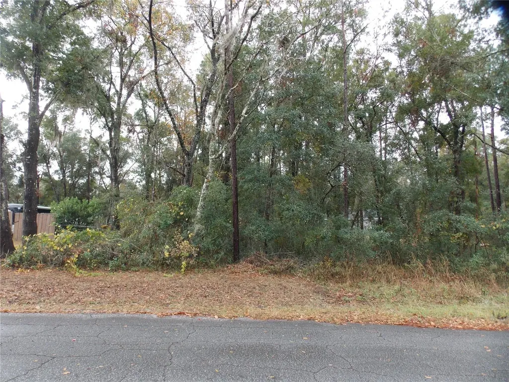 6660 E Haynes Lane Inverness FL 34452