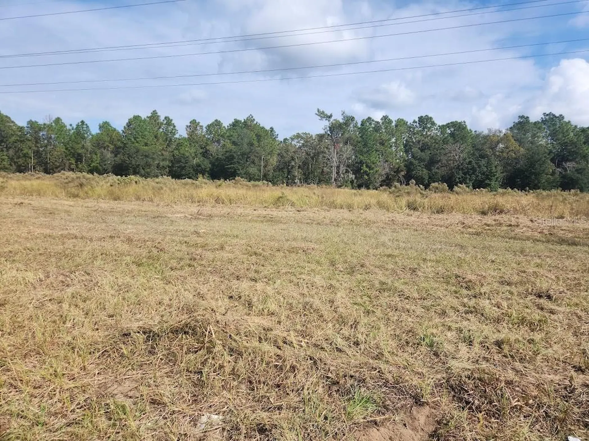 SE Maricamp Road Ocala FL 34472
