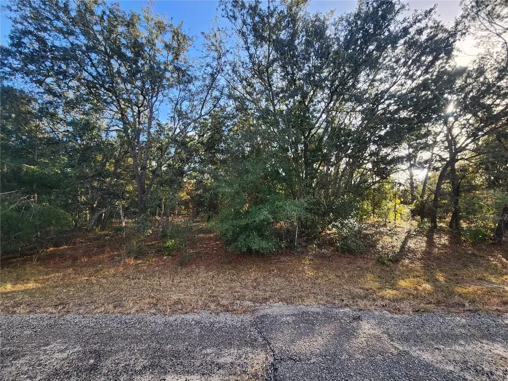 2176 W Conway Drive Citrus Springs FL 34434