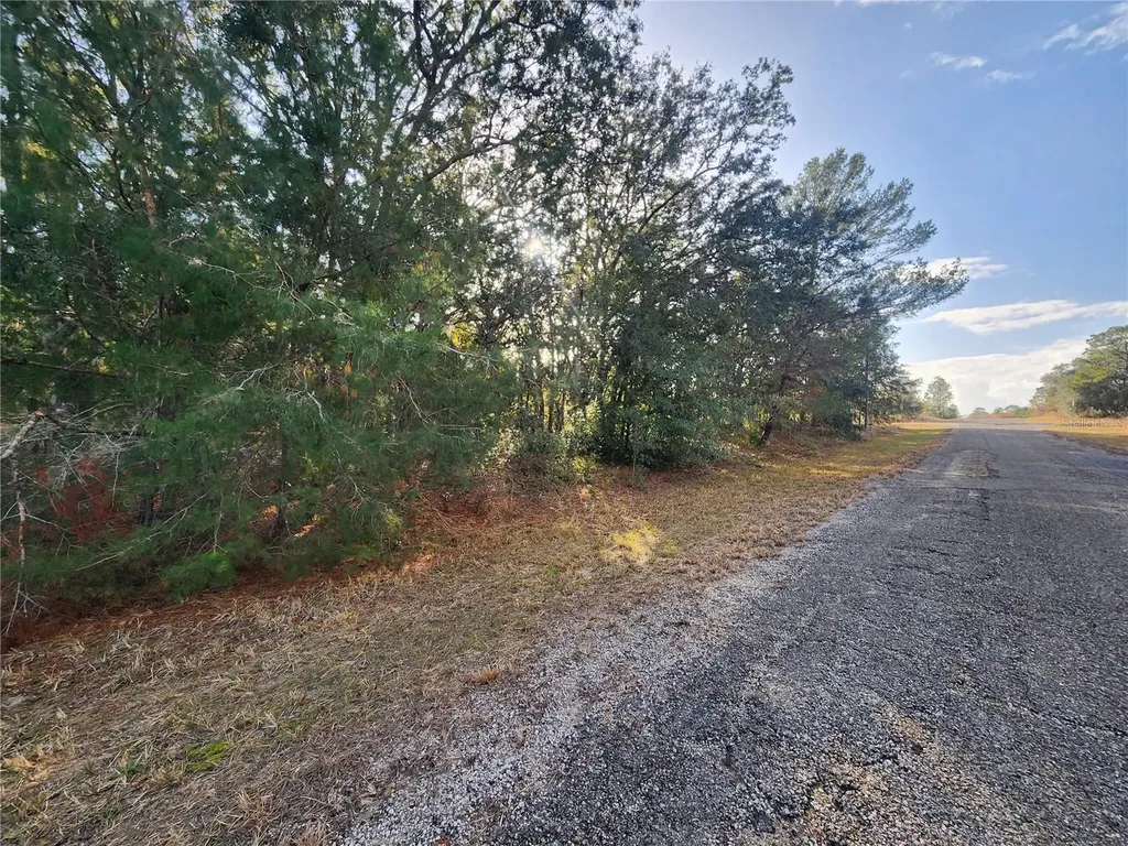 2176 W Conway Drive Citrus Springs FL 34434
