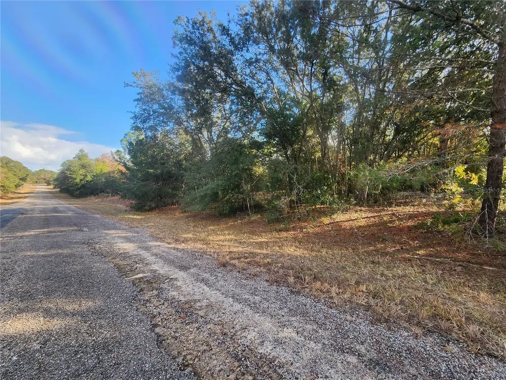 2176 W Conway Drive Citrus Springs FL 34434