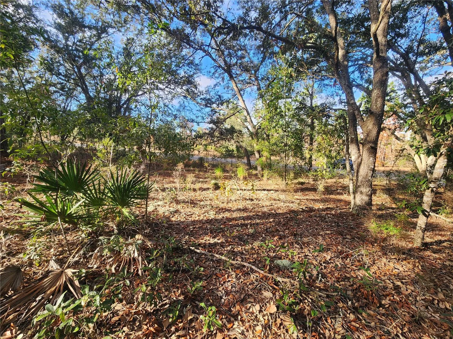 2176 W Conway Drive Citrus Springs FL 34434
