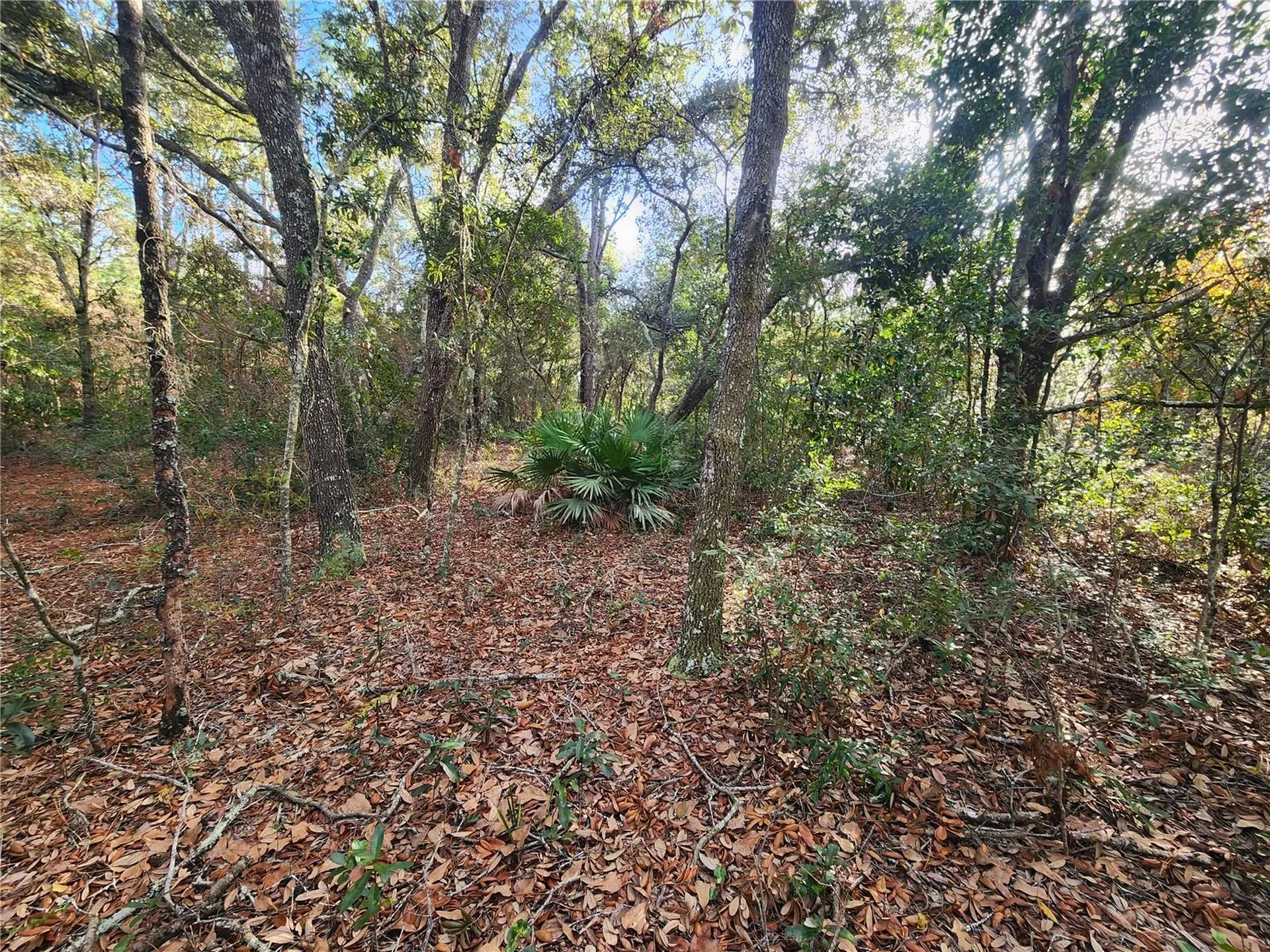 2176 W Conway Drive Citrus Springs FL 34434