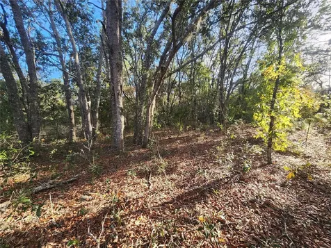 2176 W Conway Drive Citrus Springs FL 34434