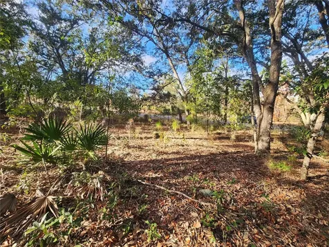 2176 W Conway Drive Citrus Springs FL 34434