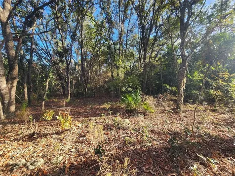 2176 W Conway Drive Citrus Springs FL 34434