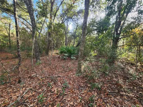 2176 W Conway Drive Citrus Springs FL 34434