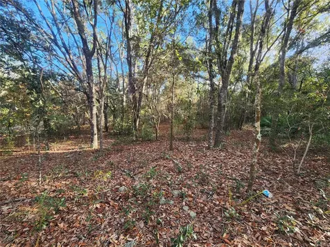 2176 W Conway Drive Citrus Springs FL 34434