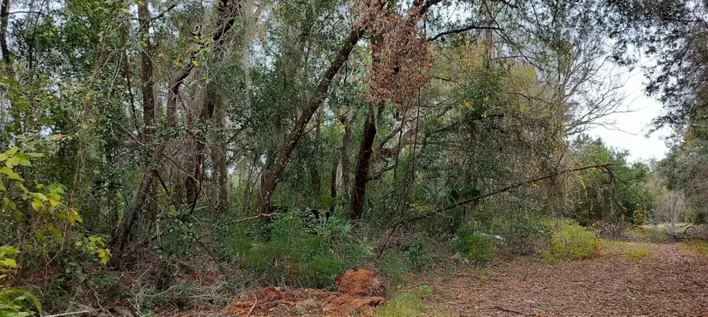 965 S Sally Terrace Inverness FL 34452