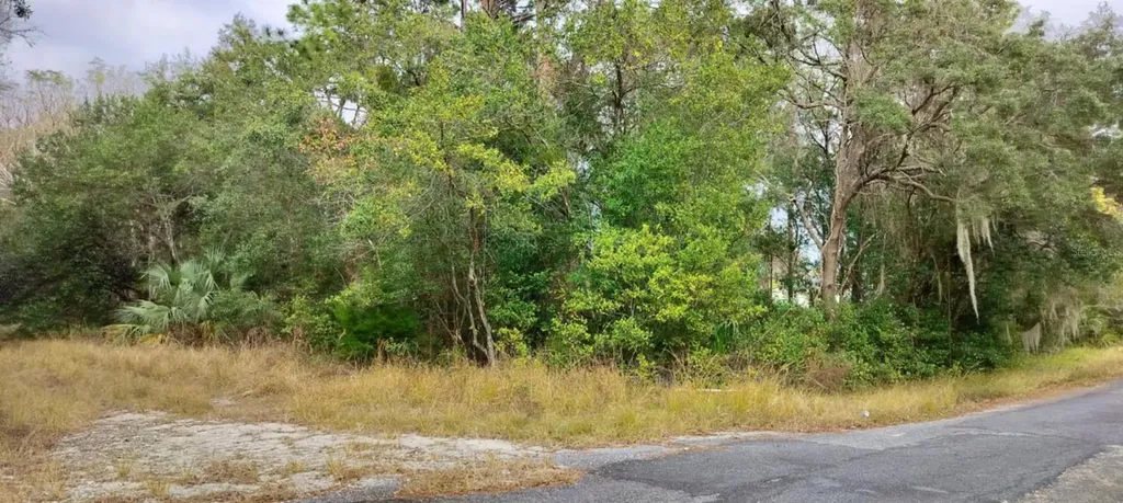 965 S Sally Terrace Inverness FL 34452