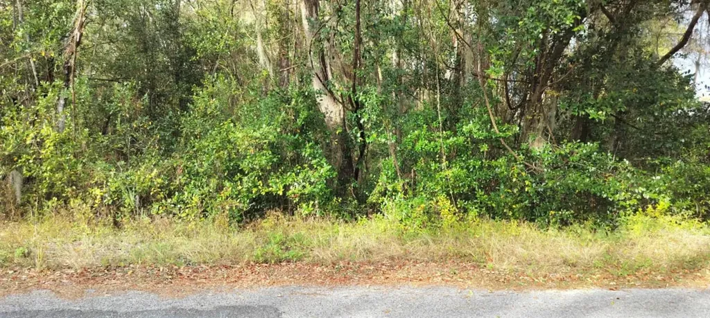 965 S Sally Terrace Inverness FL 34452