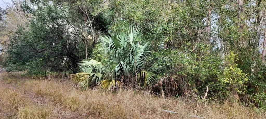 965 S Sally Terrace Inverness FL 34452