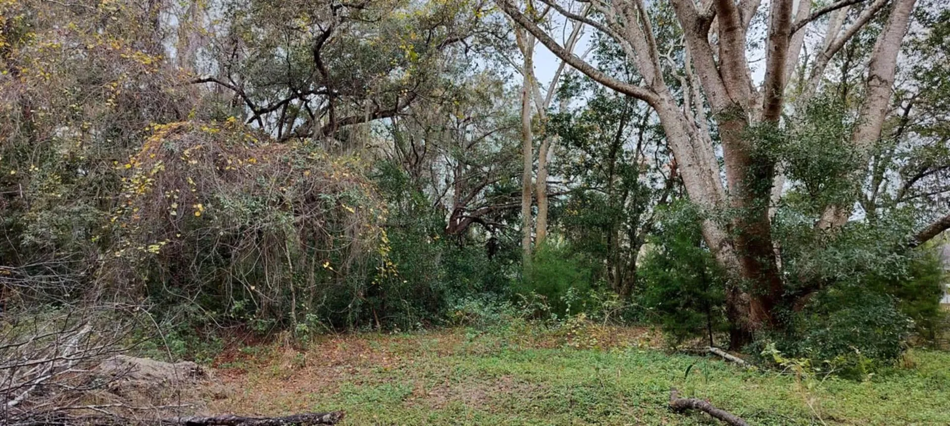 965 S Sally Terrace Inverness FL 34452